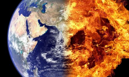 Ne grăbim în zadar!