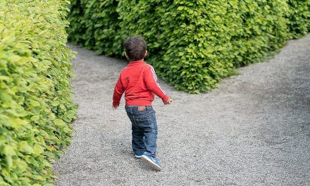 Vremea începutului a sosit