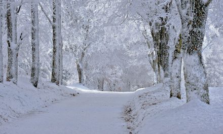 Teama, promovează frica în persoană!