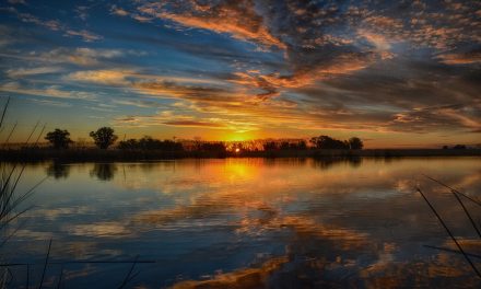 Buturuga mică răstoarnă carul mare!